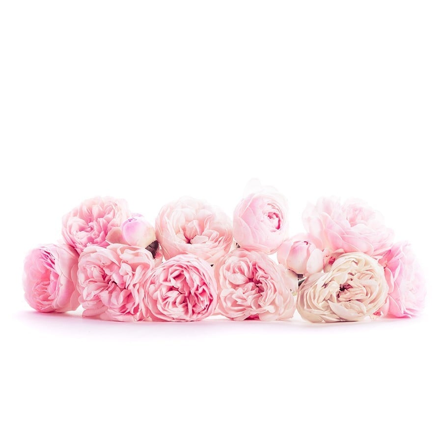 coach new york wild rose edp 90 mlكوتش ولد روز نسائي بارفيوم 90 مل