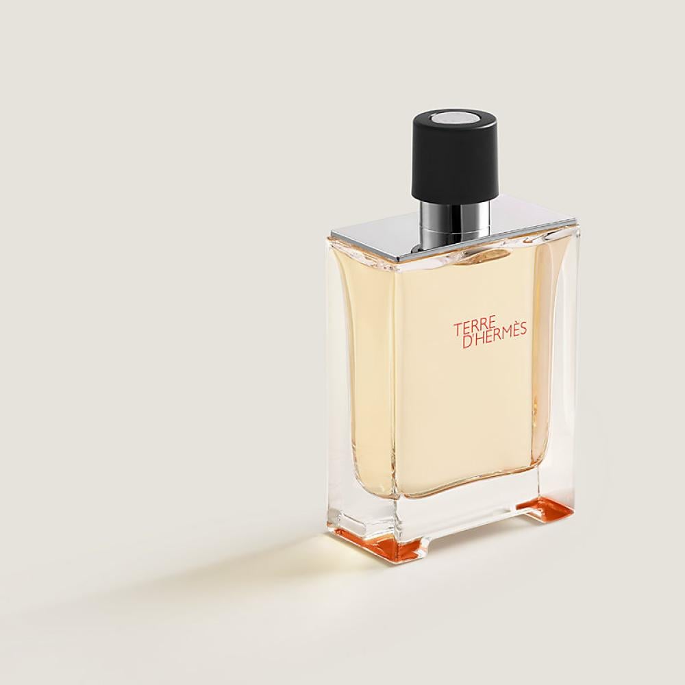 Terre D'Hermes (M) EdT 100 MLتيري هيرمز ت رجالي 100 مل