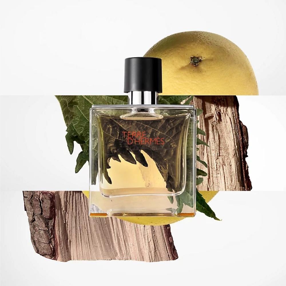 Terre D'Hermes (M) EdP 75 MLتيري دي هيرمز بارفيوم 75 مل