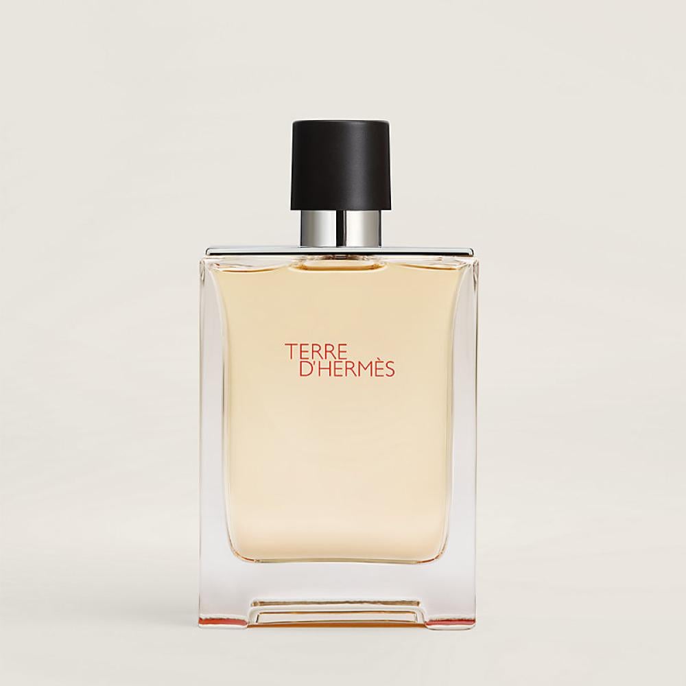 Terre D'Hermes (M) EdT 100 MLتيري هيرمز ت رجالي 100 مل